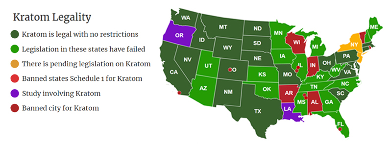 Thai Kratom to tap US herbal market.
